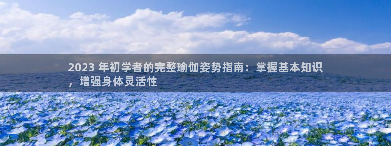 欧洲杯下单平台官方网站