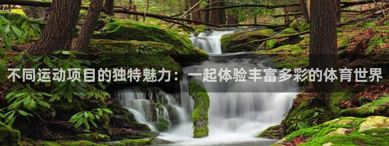 熊猫体育直播：不同运动项目的独特魅力：一起体验丰富多彩的体育世界