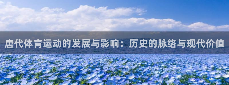 熊猫体育公园价格：唐代体育运动的发展与影响：历史的脉络与现代价值