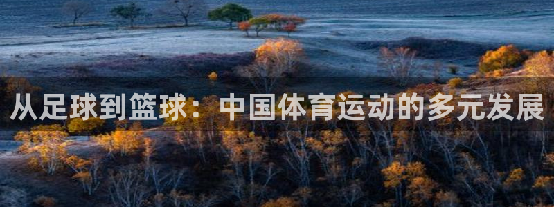 熊猫体育直播：从足球到篮球：中国体育运动的多元发展