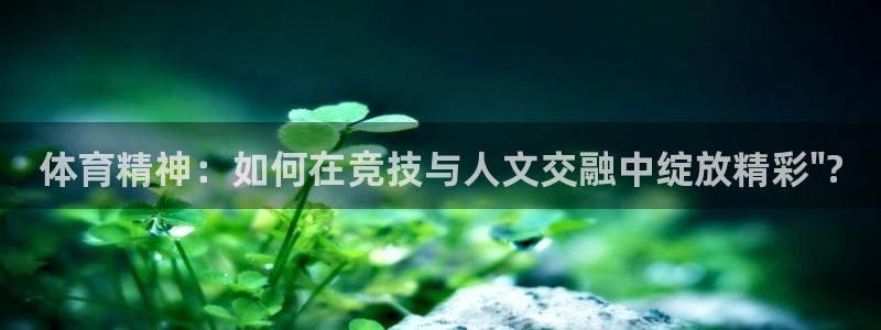 熊猫体育nba：体育精神：如何在竞技与人文交融中绽放精彩\