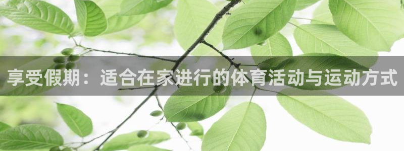 熊猫体育比赛直播：享受假期：适合在家进行的体育活动与运动方式